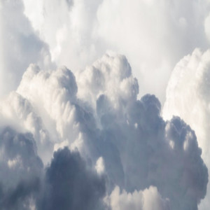 窈窕领先官方网站
